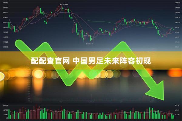 配配查官网 中国男足未来阵容初现