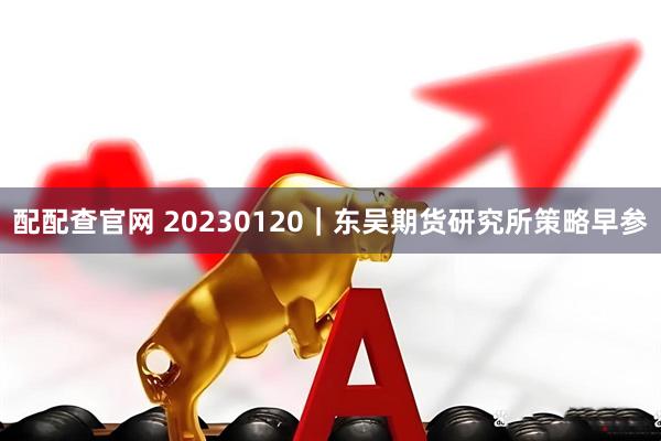 配配查官网 20230120｜东吴期货研究所策略早参