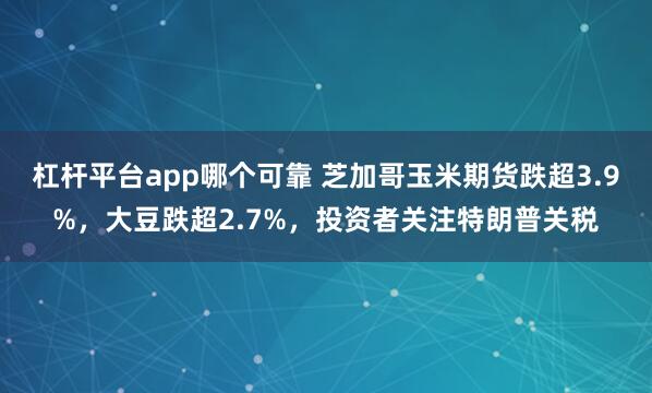 杠杆平台app哪个可靠 芝加哥玉米期货跌超3.9%，大豆跌超2.7%，投资者关注特朗普关税