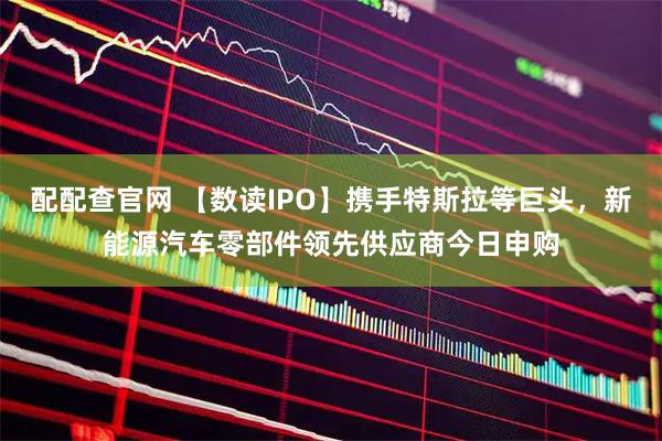配配查官网 【数读IPO】携手特斯拉等巨头，新能源汽车零部件领先供应商今日申购