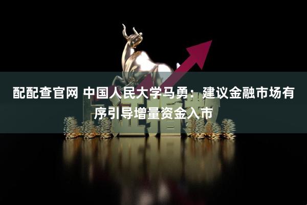 配配查官网 中国人民大学马勇：建议金融市场有序引导增量资金入市