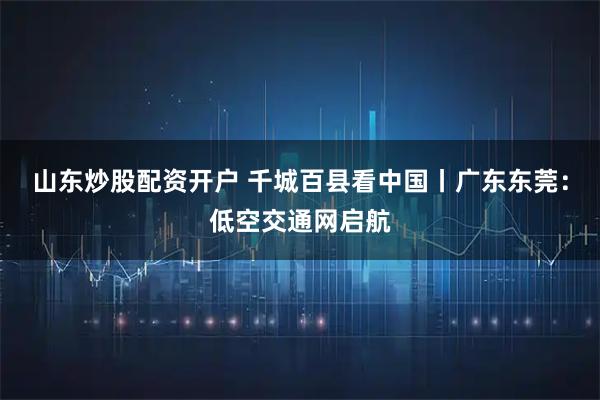山东炒股配资开户 千城百县看中国丨广东东莞：低空交通网启航