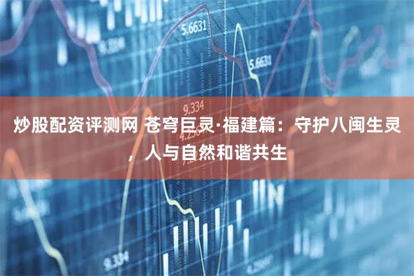 炒股配资评测网 苍穹巨灵·福建篇：守护八闽生灵，人与自然和谐共生