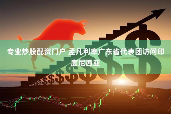 专业炒股配资门户 孟凡利率广东省代表团访问印度尼西亚